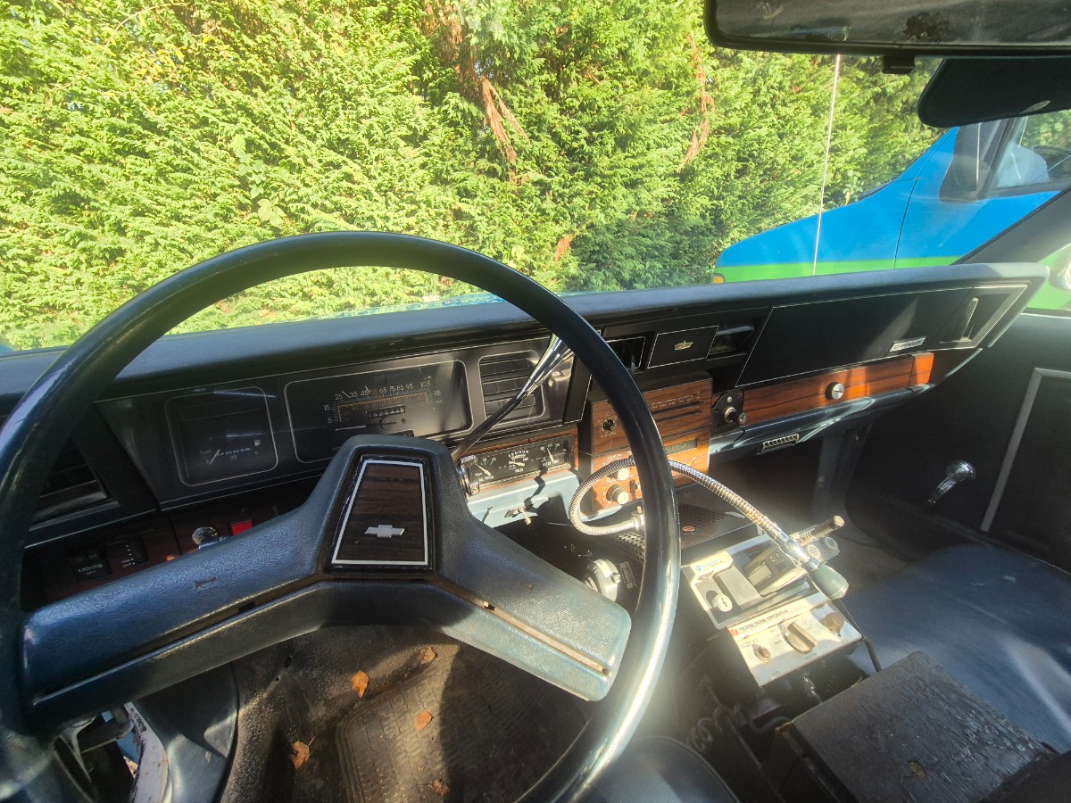 1989 Chevrolet Caprice Image 12