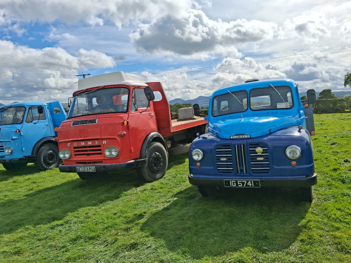 1953 Austin 3 Litre Image 5