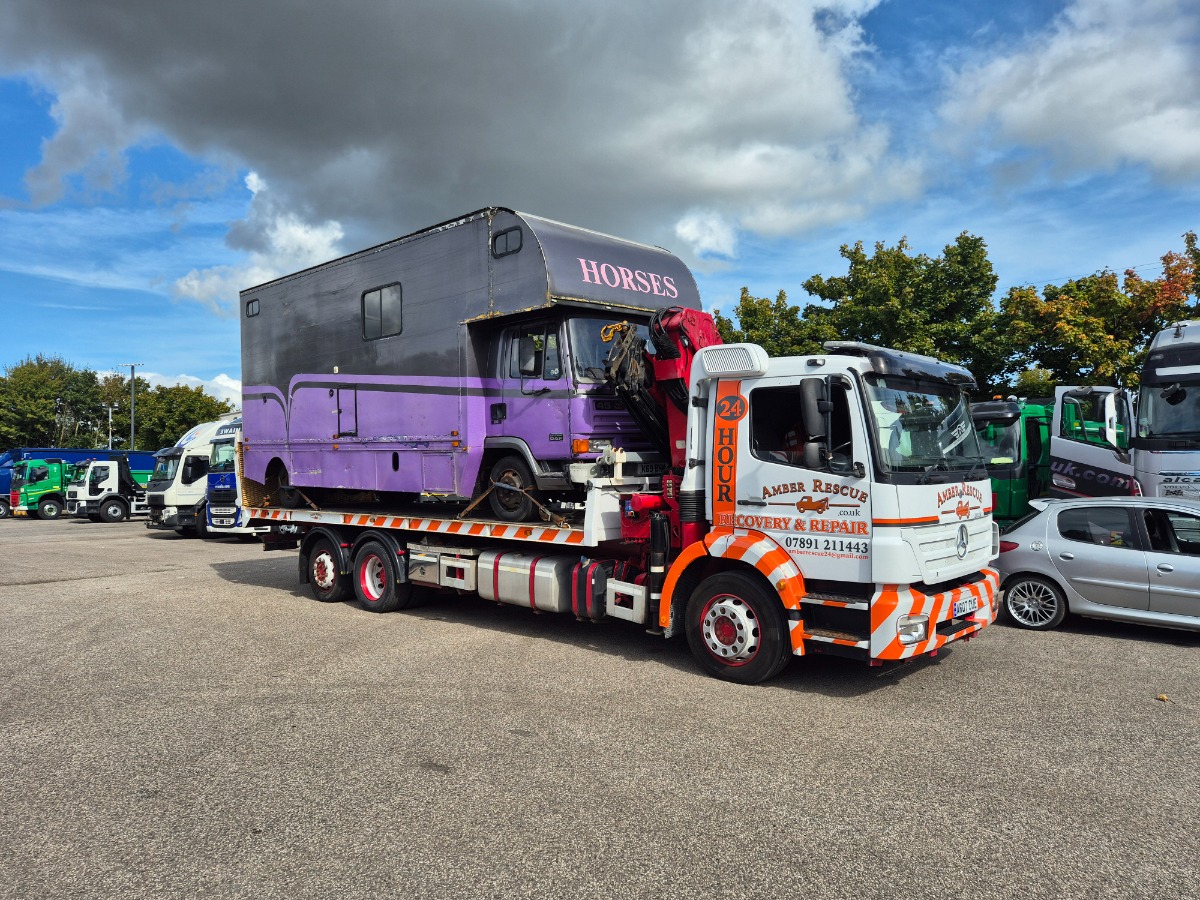 2015 Other Other Image 5