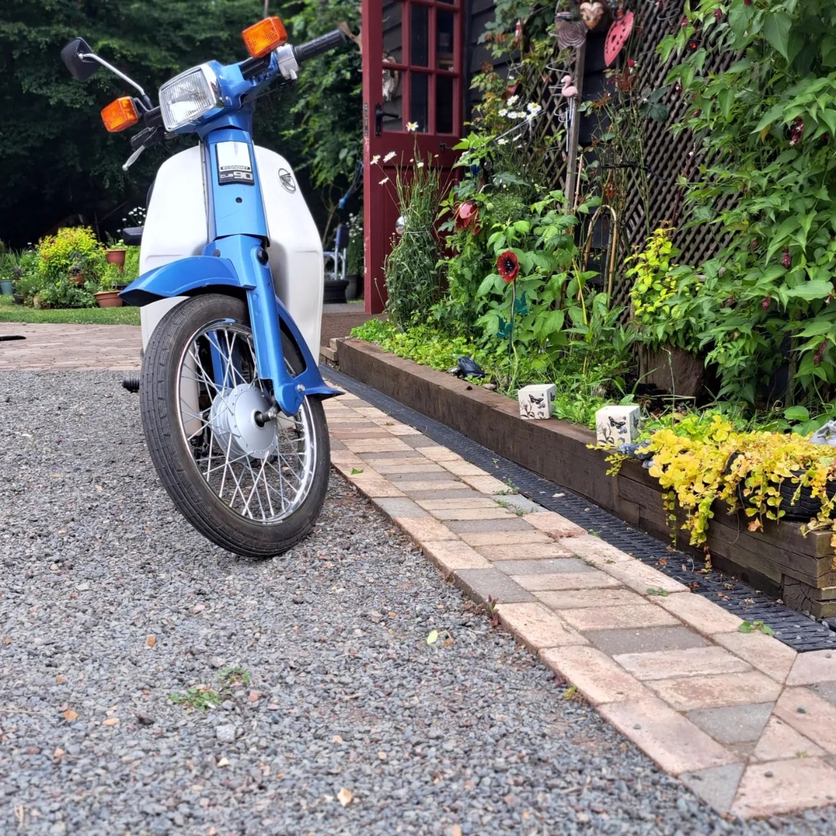 1999 Honda C90 Image 2