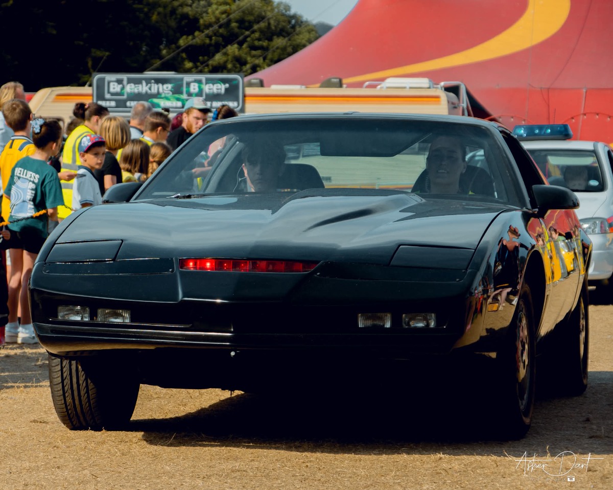 1989 Pontiac Firebird Image 2