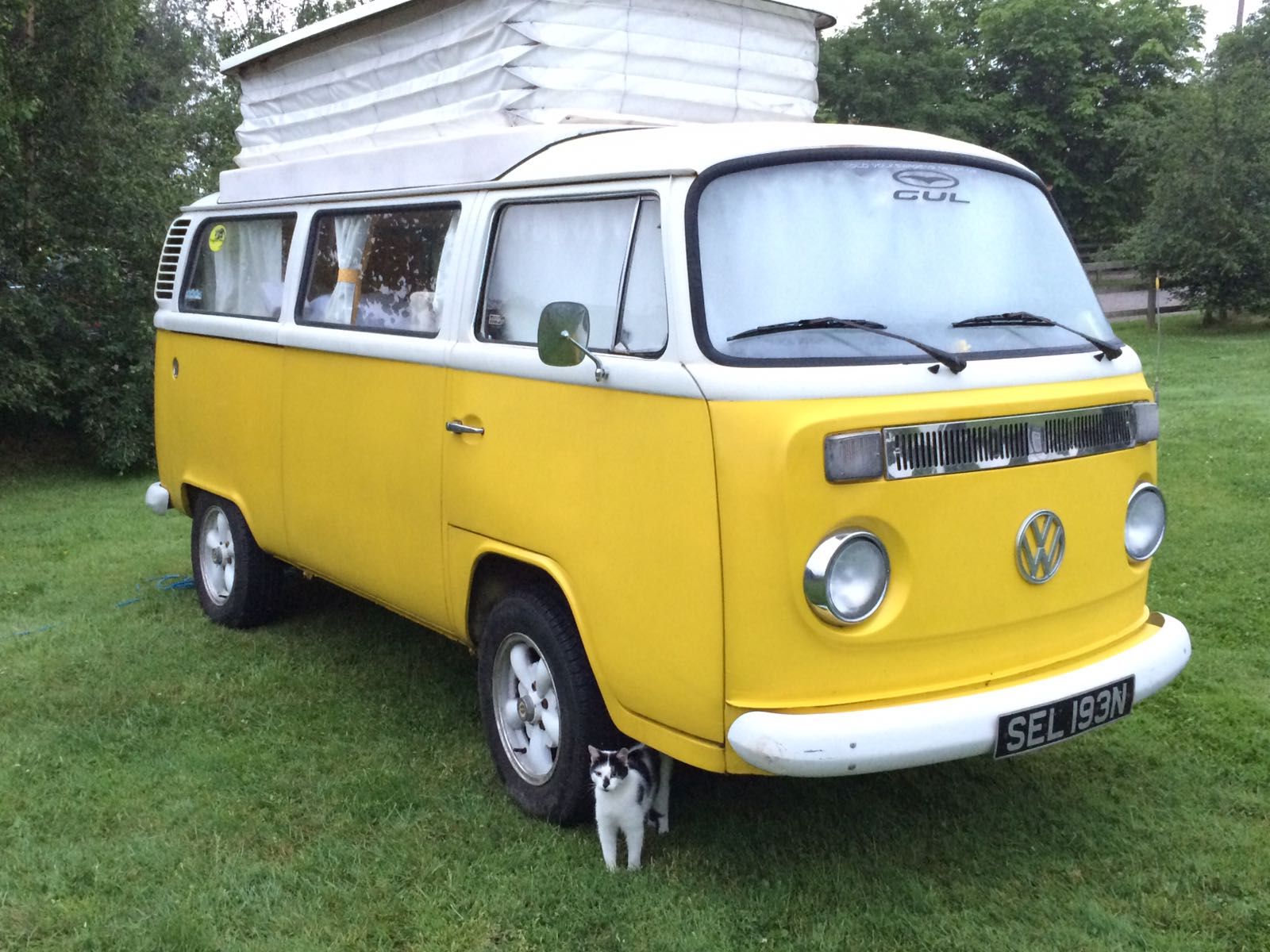 1974 Volkswagen T2 Camper Van / Bus Image 4
