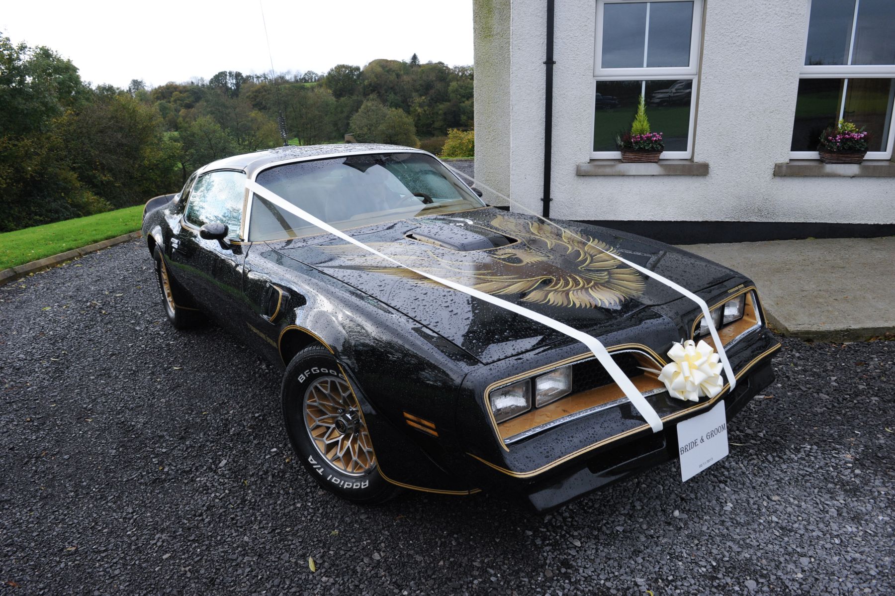 1978 Pontiac Firebird Trans Am Image 1