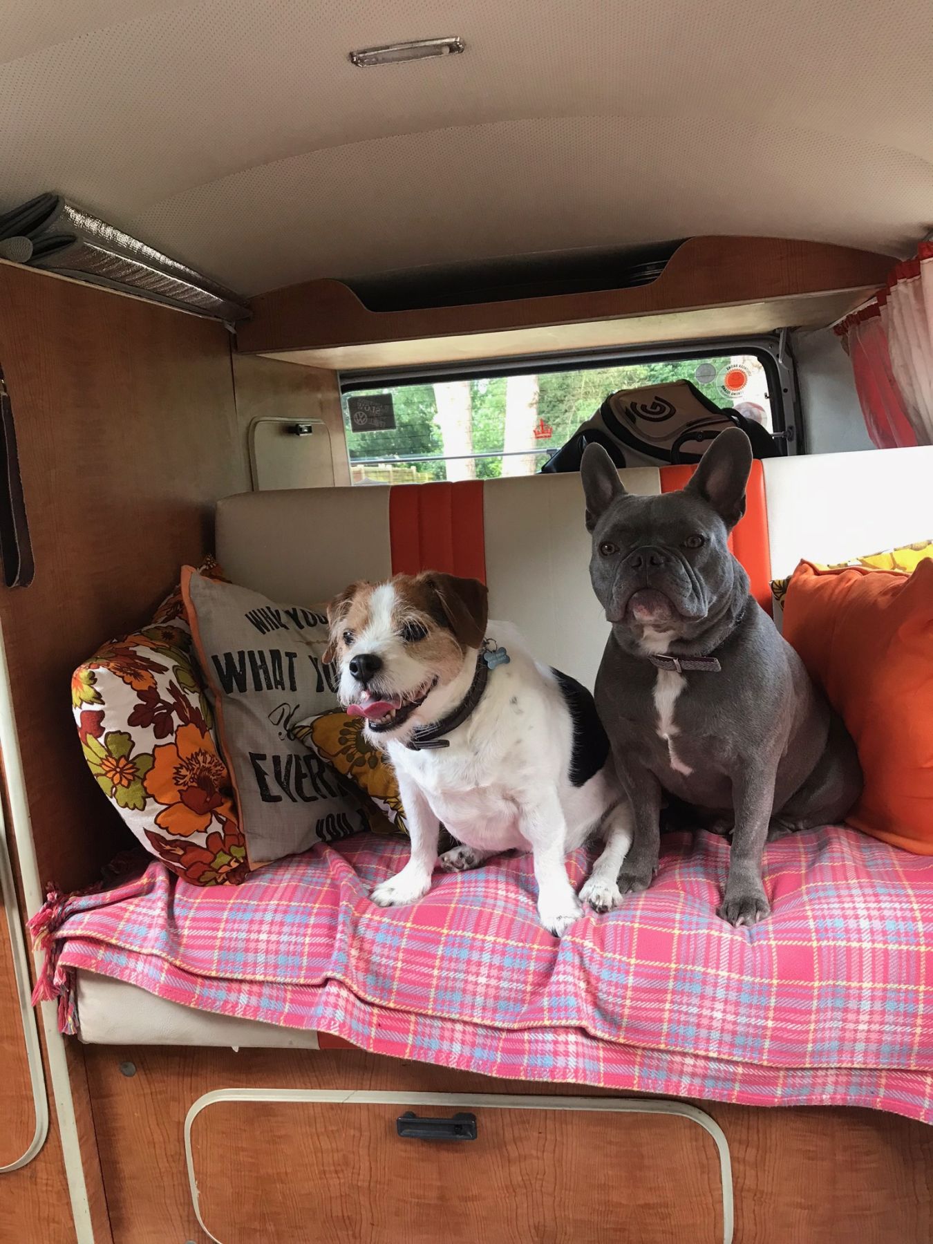 1971 Volkswagen T2 Camper Van / Bus Image 2