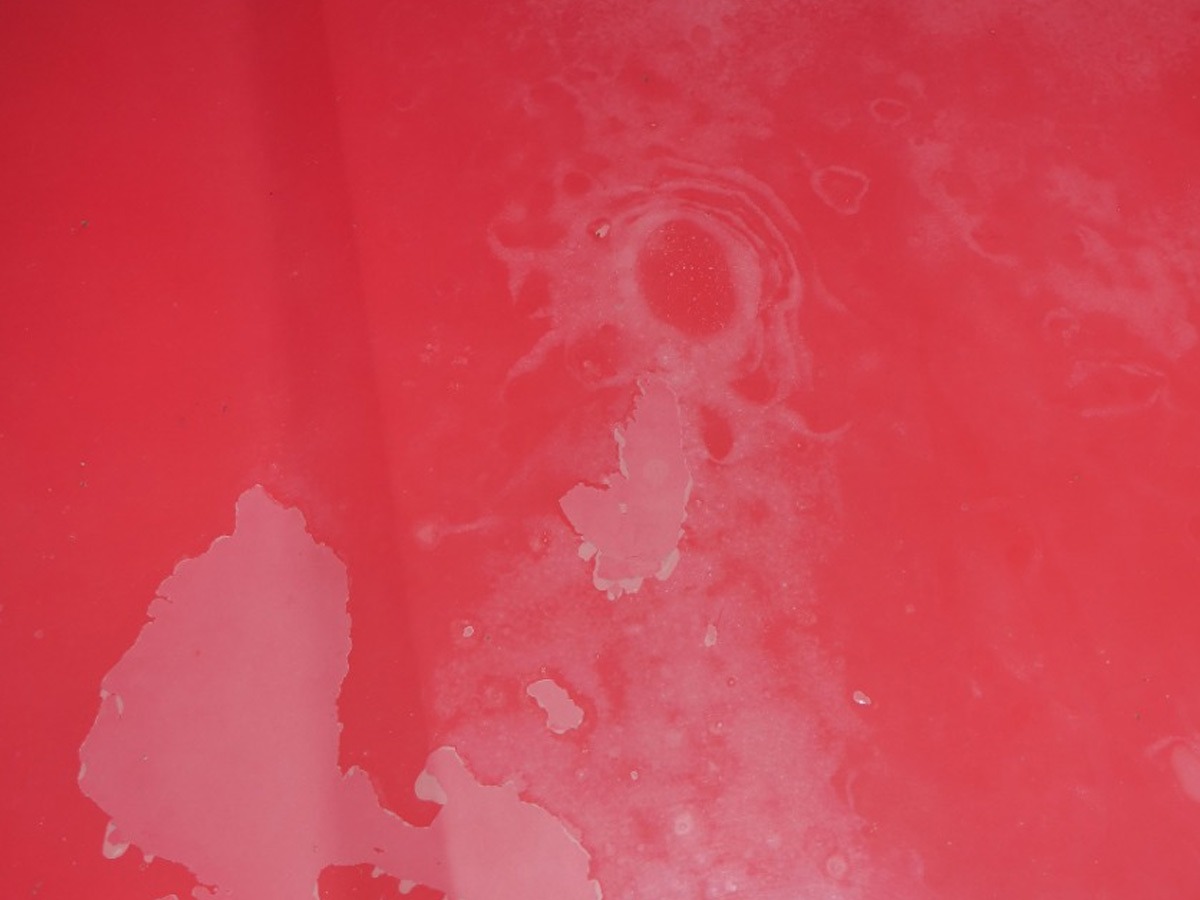 1996 BMW 3 Series Image 8