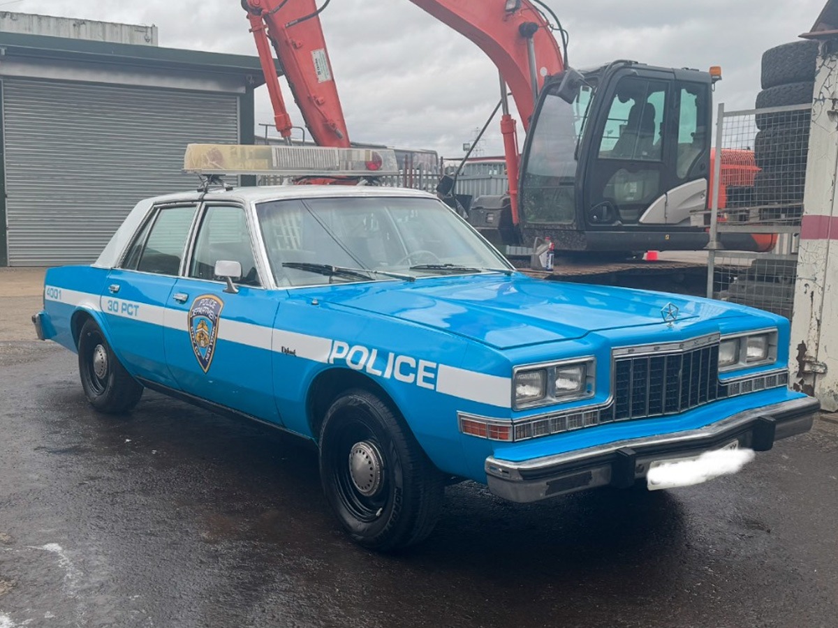 1981 Dodge Diplomat Image 2