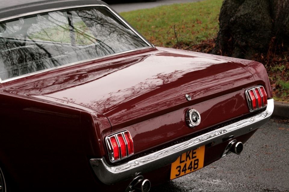 1964 Ford Mustang Image 2