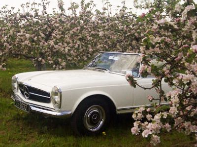 1965 Mercedes-Benz 230 Image 2