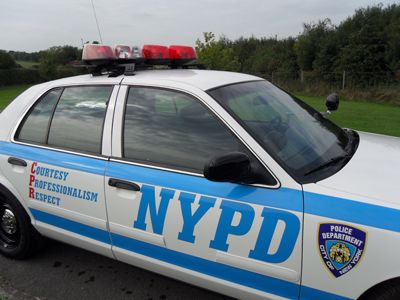 2001 Ford Crown Victoria Image 3