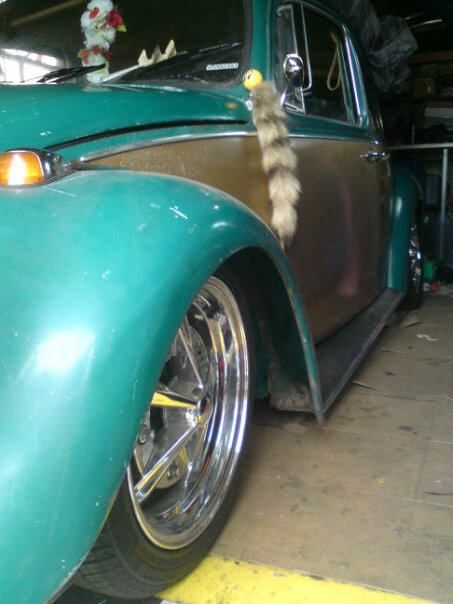 1967 Volkswagen Beetle Image 5