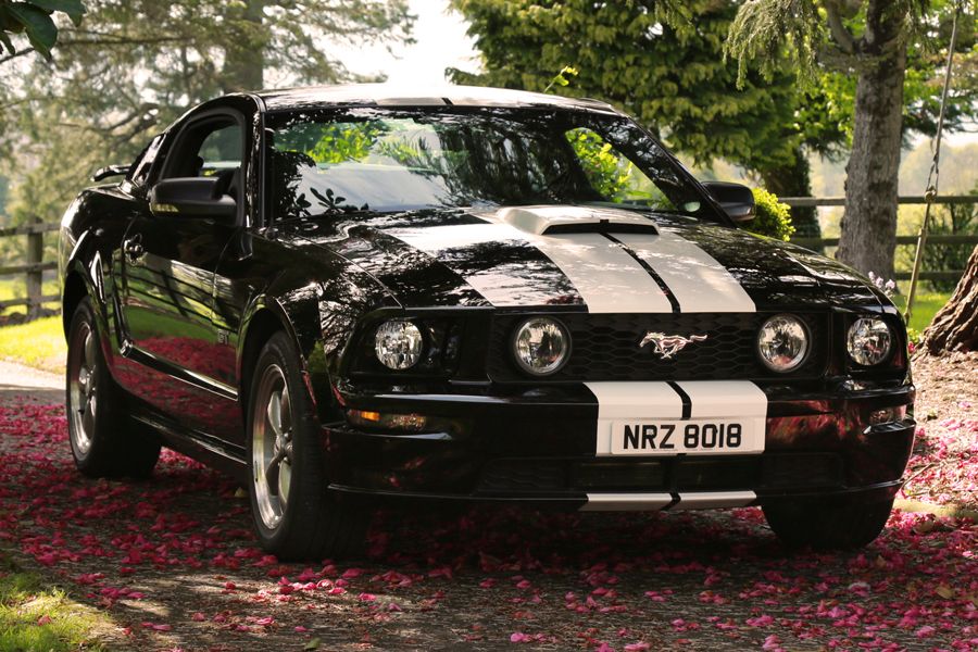 2006 Ford Mustang Image 13