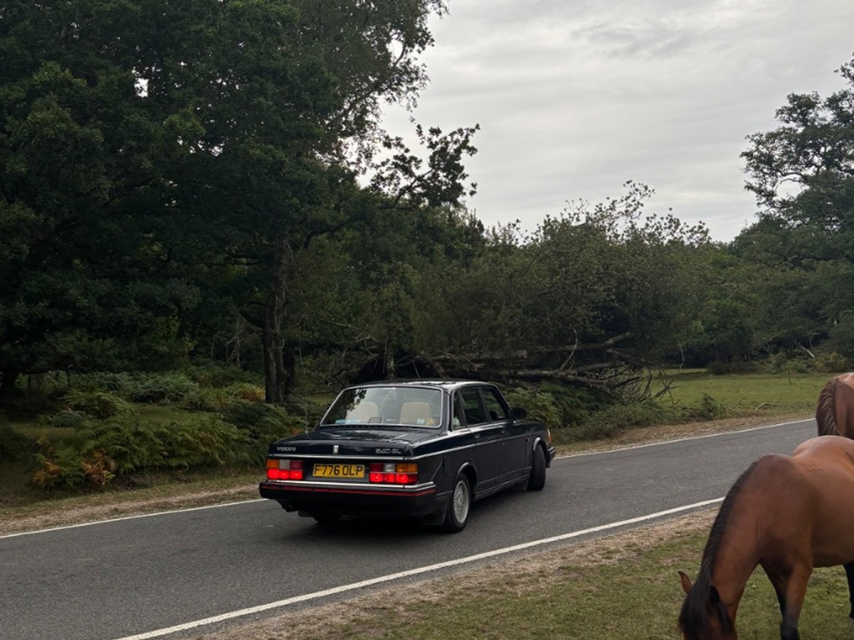 1988 Volvo 240 Image 4