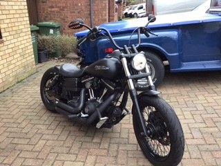 2010 Harley-Davidson Other Image 1