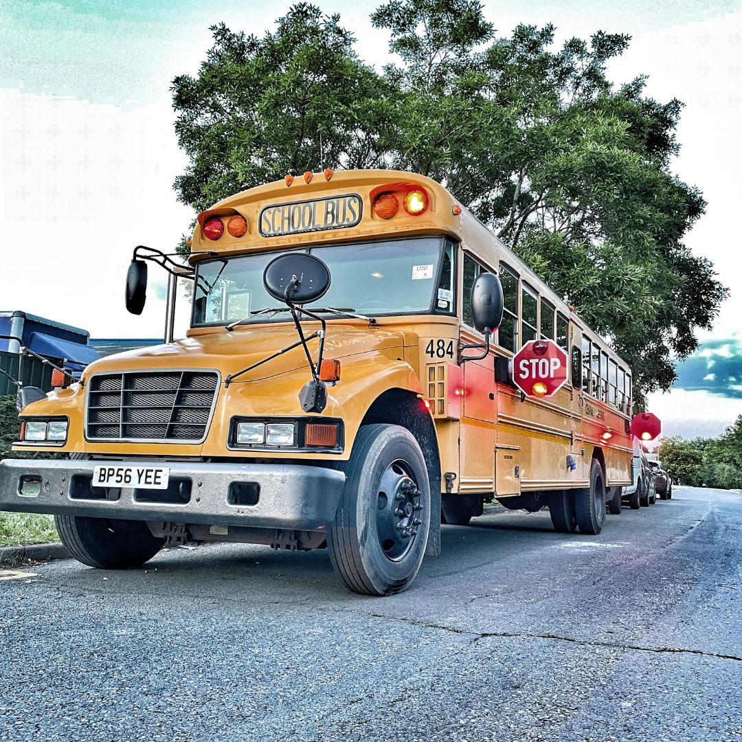 2006 International International Bluebird 3800 Image 1