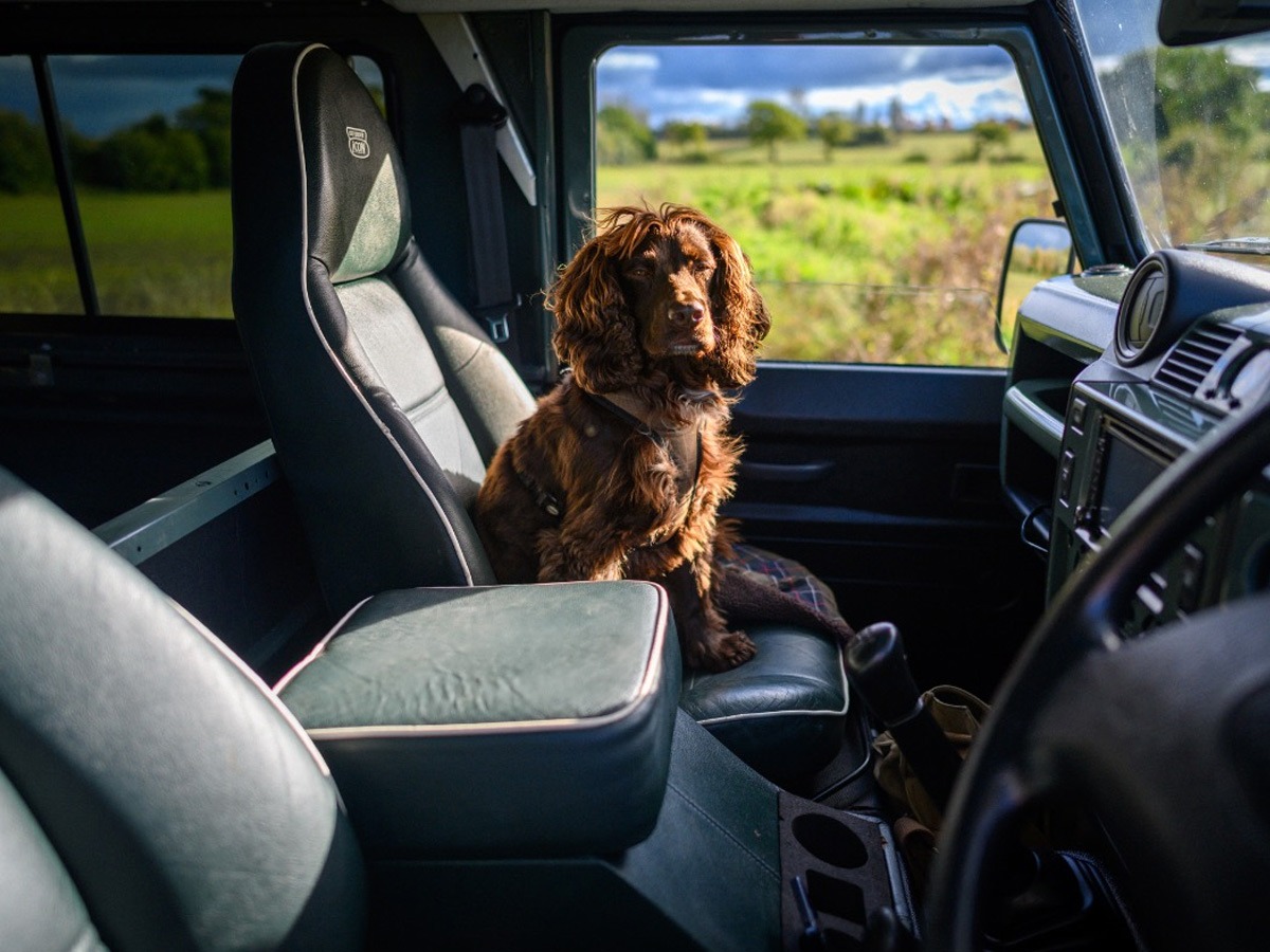 2011 Land Rover 90 Image 4