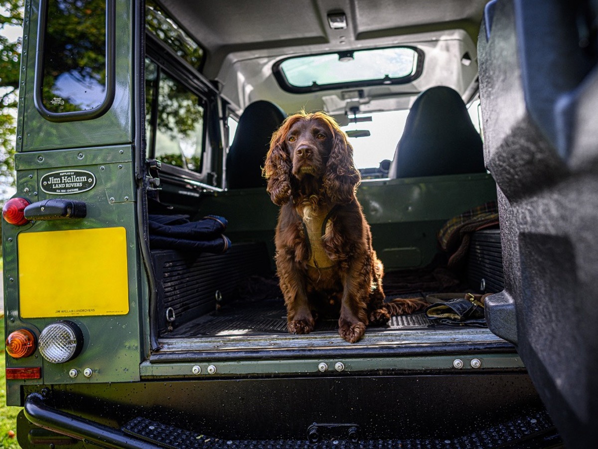 2011 Land Rover 90 Image 7