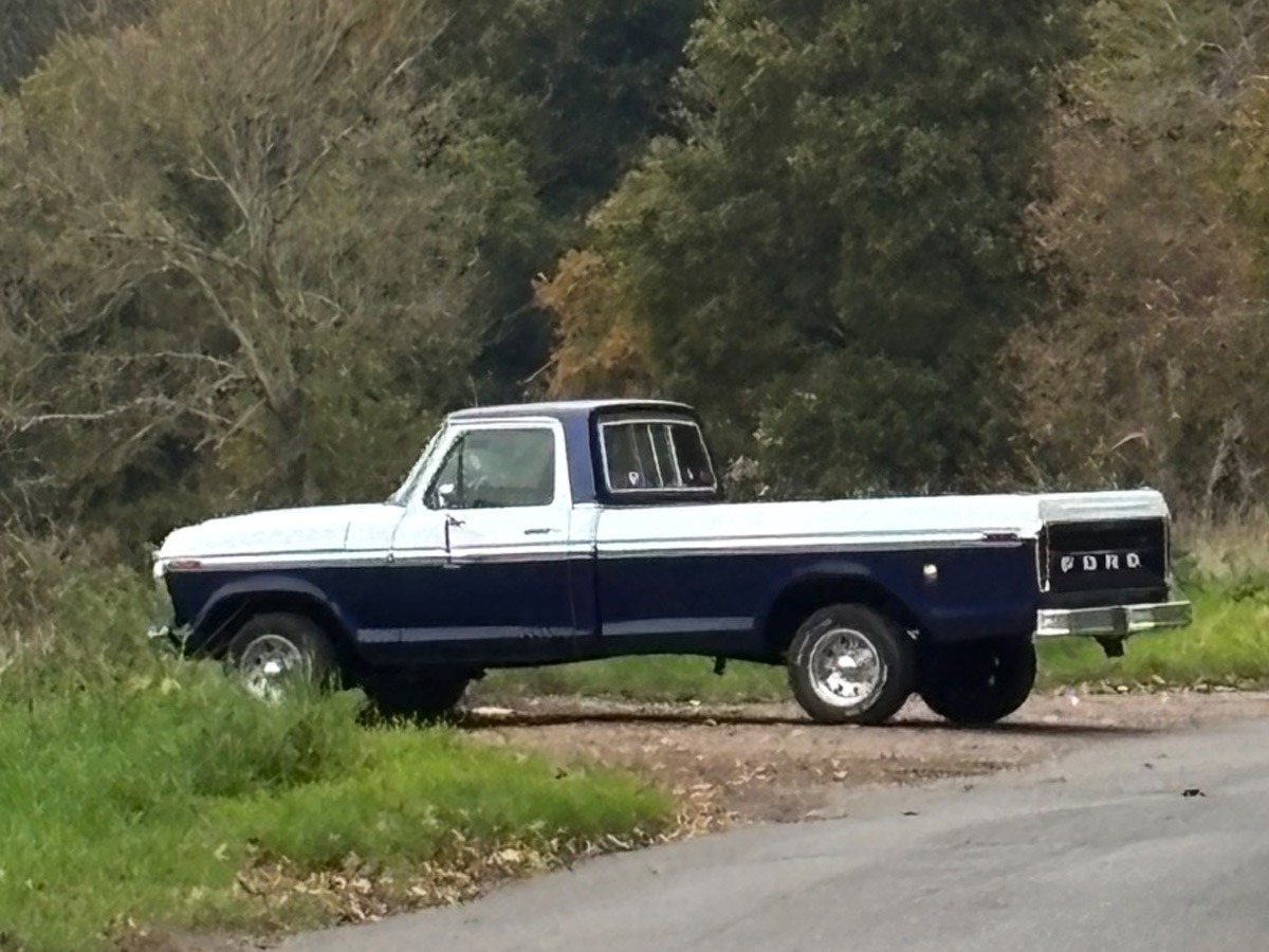1975 Ford F150 Image 3