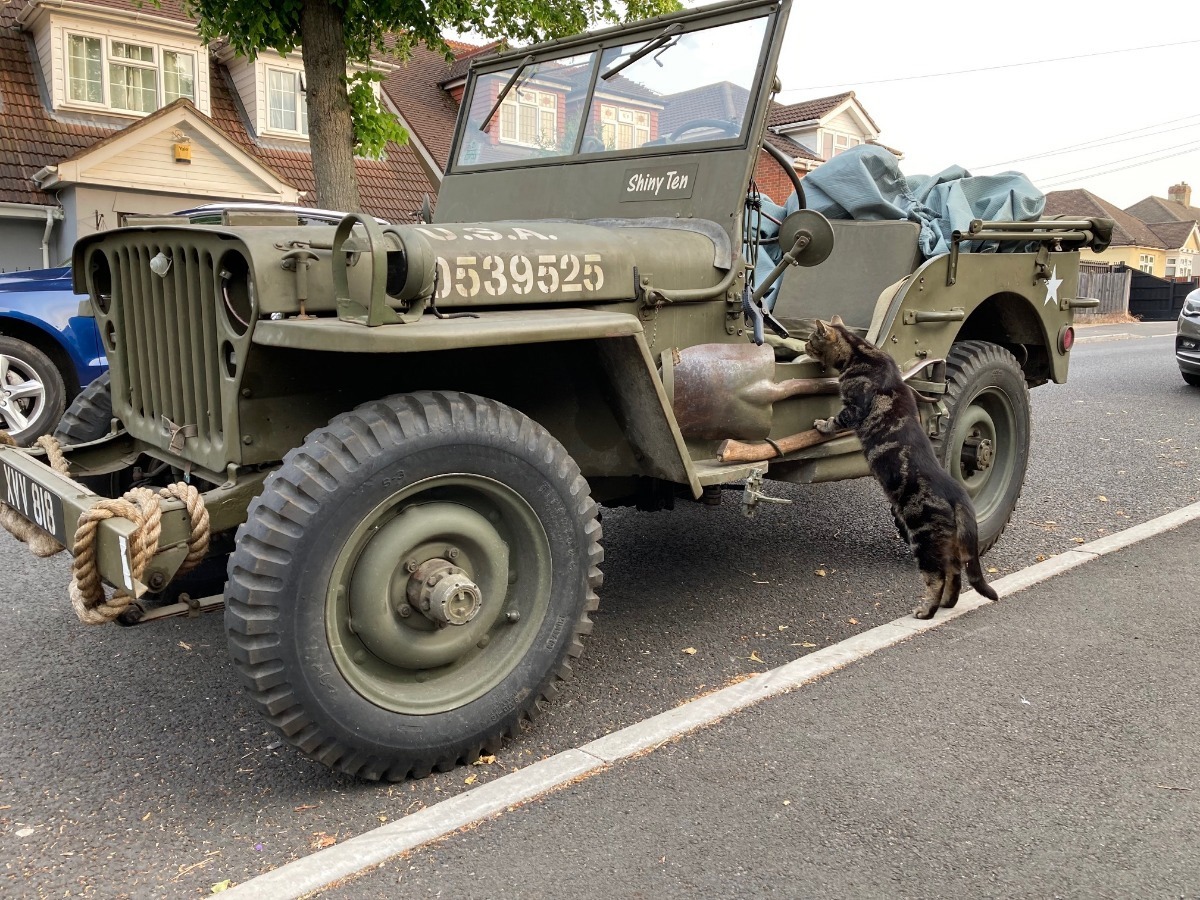 1944 Ford Other Image 1