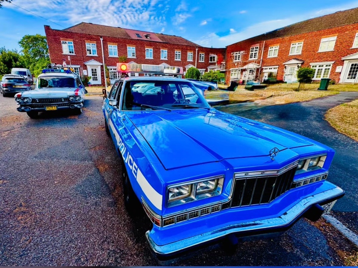 1981 Dodge Diplomat Image 5