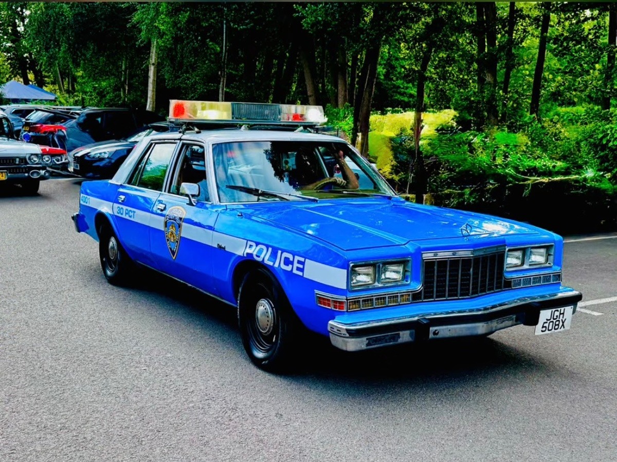 1981 Dodge Diplomat Image 7