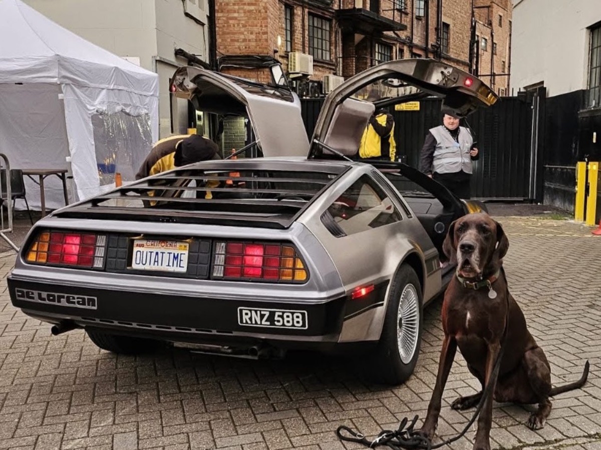 1981 Delorean DMC 12 Image 3