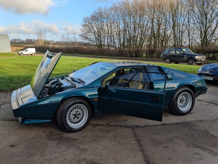 1986 Lotus Esprit Image 3