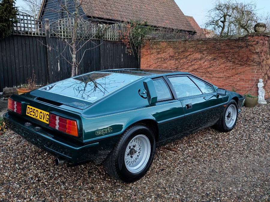 1986 Lotus Esprit Image 5