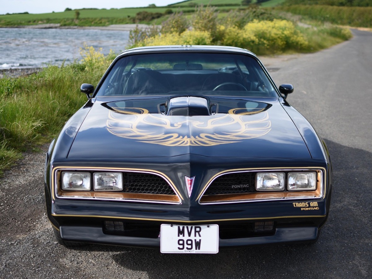 1977 Pontiac Firebird Image 3