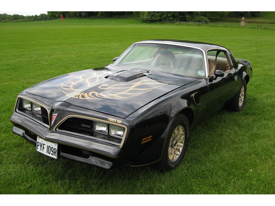 1977 Pontiac Firebird Trans Am Image 1
