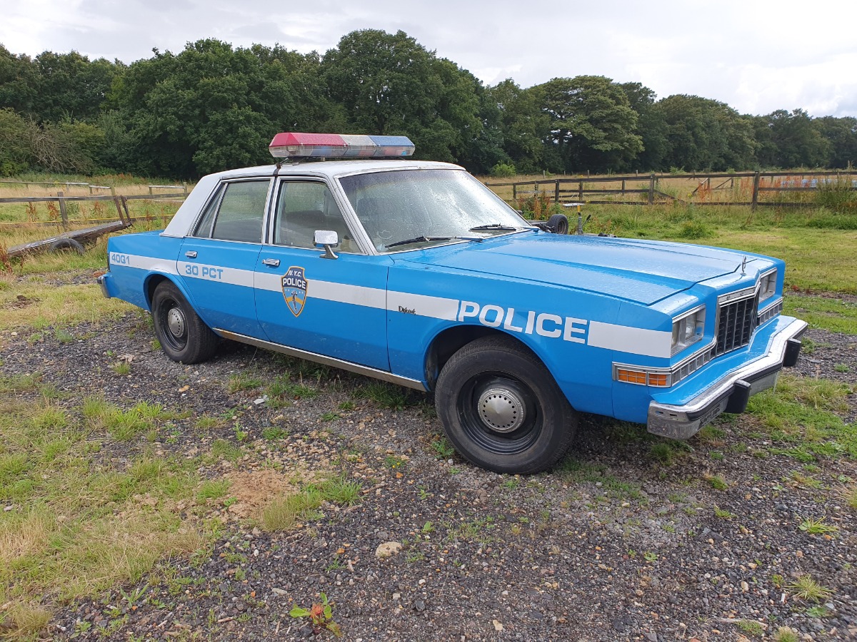 1982 Dodge Diplomat Image 10