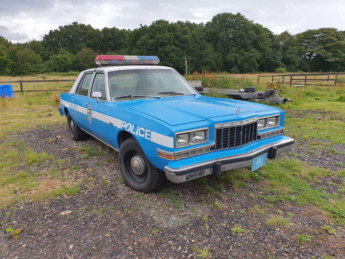 1982 Dodge Diplomat Image 9