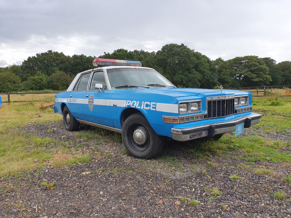 1982 Dodge Diplomat Image 8