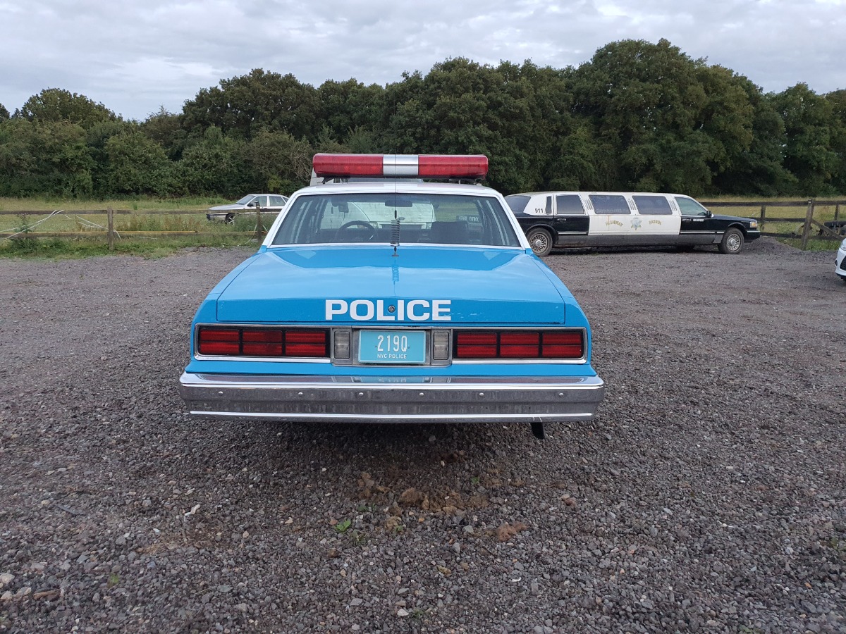 1989 Chevrolet Caprice Classic Image 5