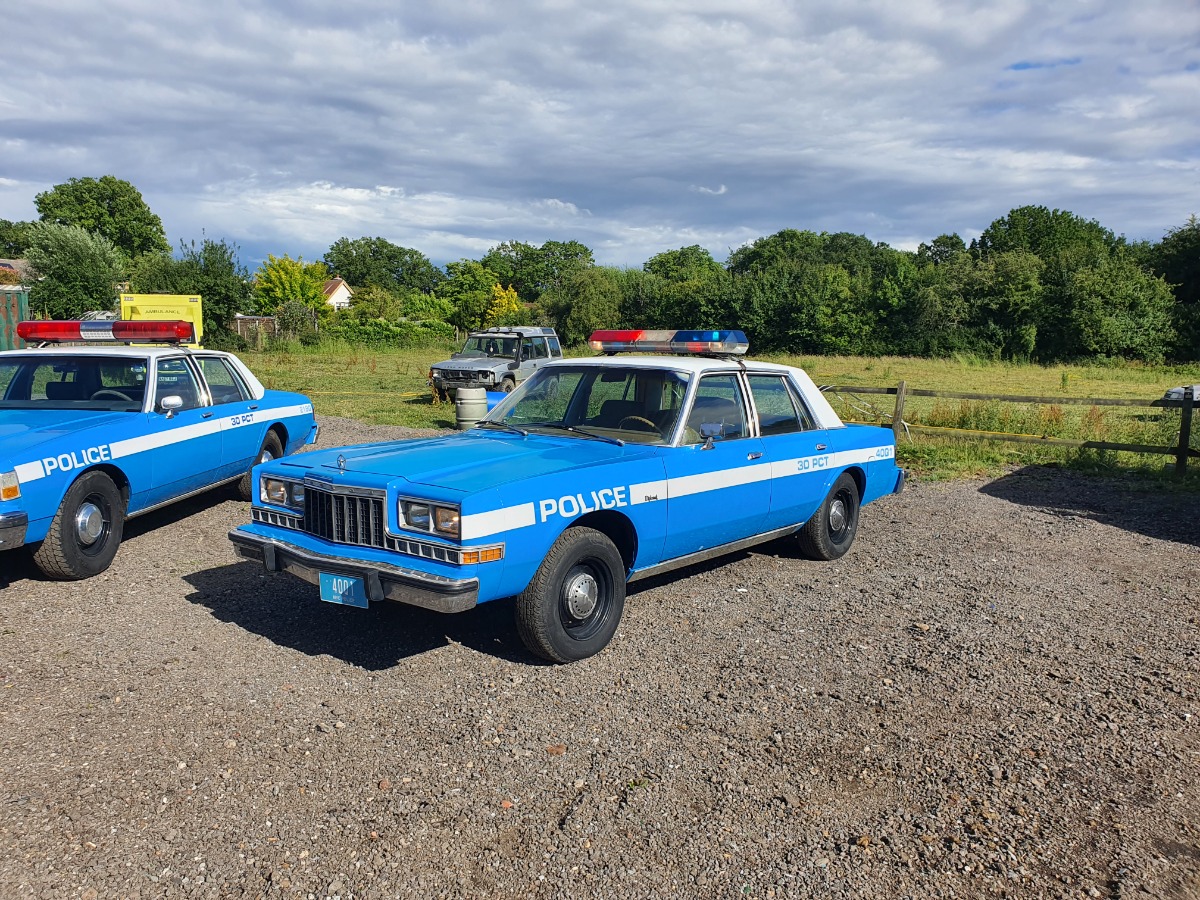 1982 Dodge Diplomat Image 1