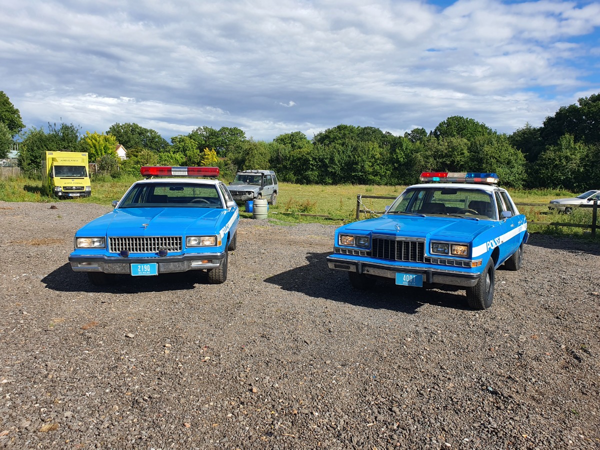 1982 Dodge Diplomat Image 3