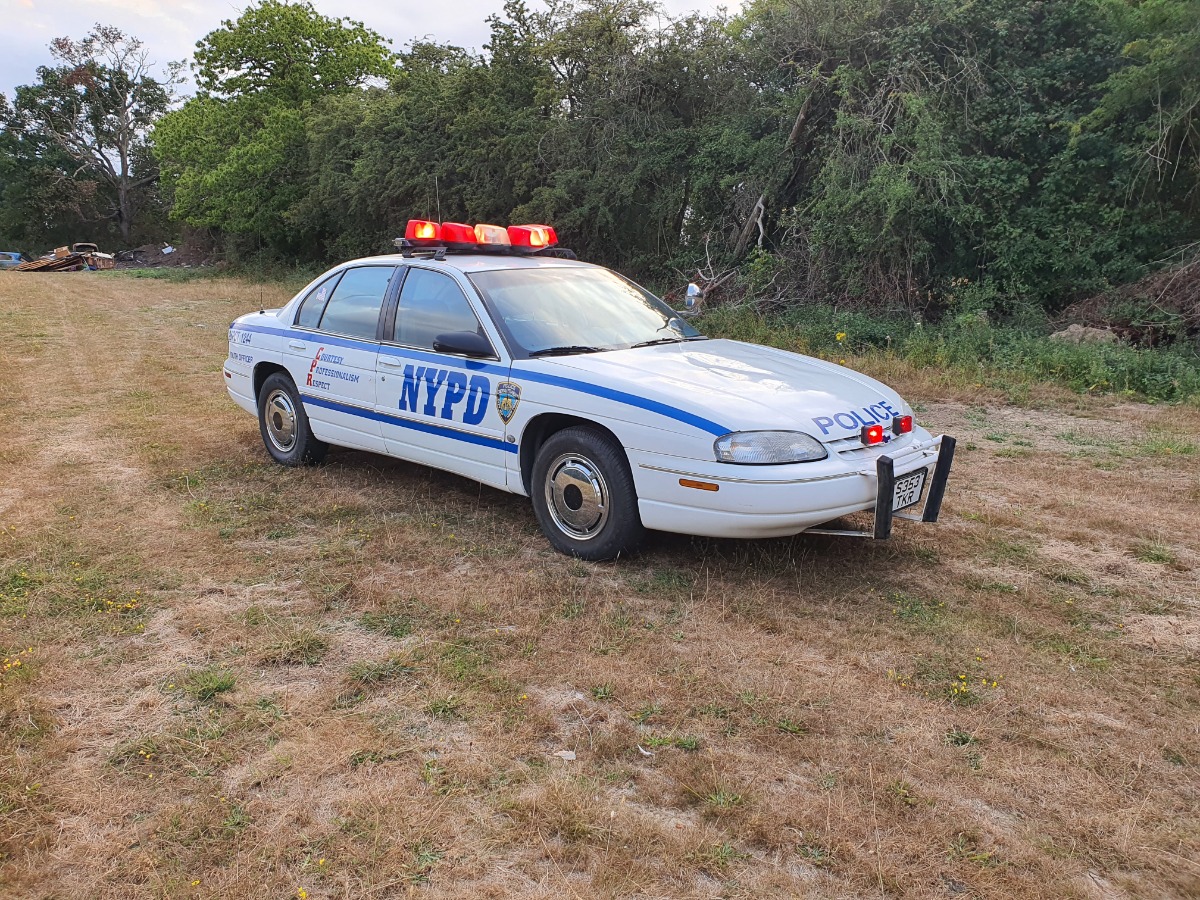 1998 Chevrolet Lumina Image 4