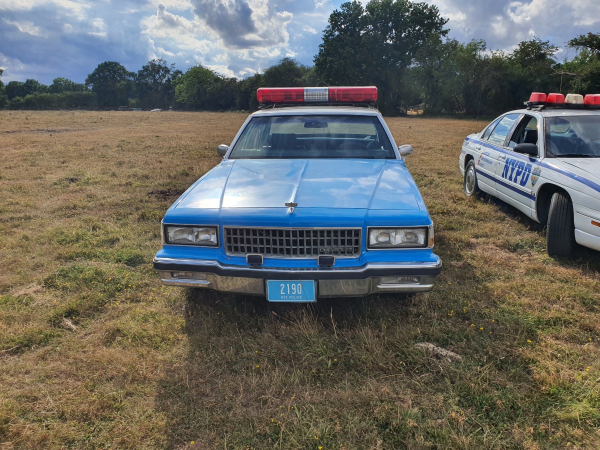 1989 Chevrolet Caprice Classic Image 3