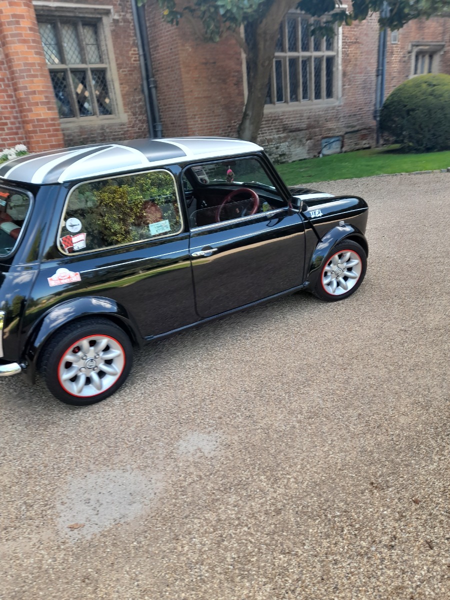 1994 Mini Monte Carlo Image 11