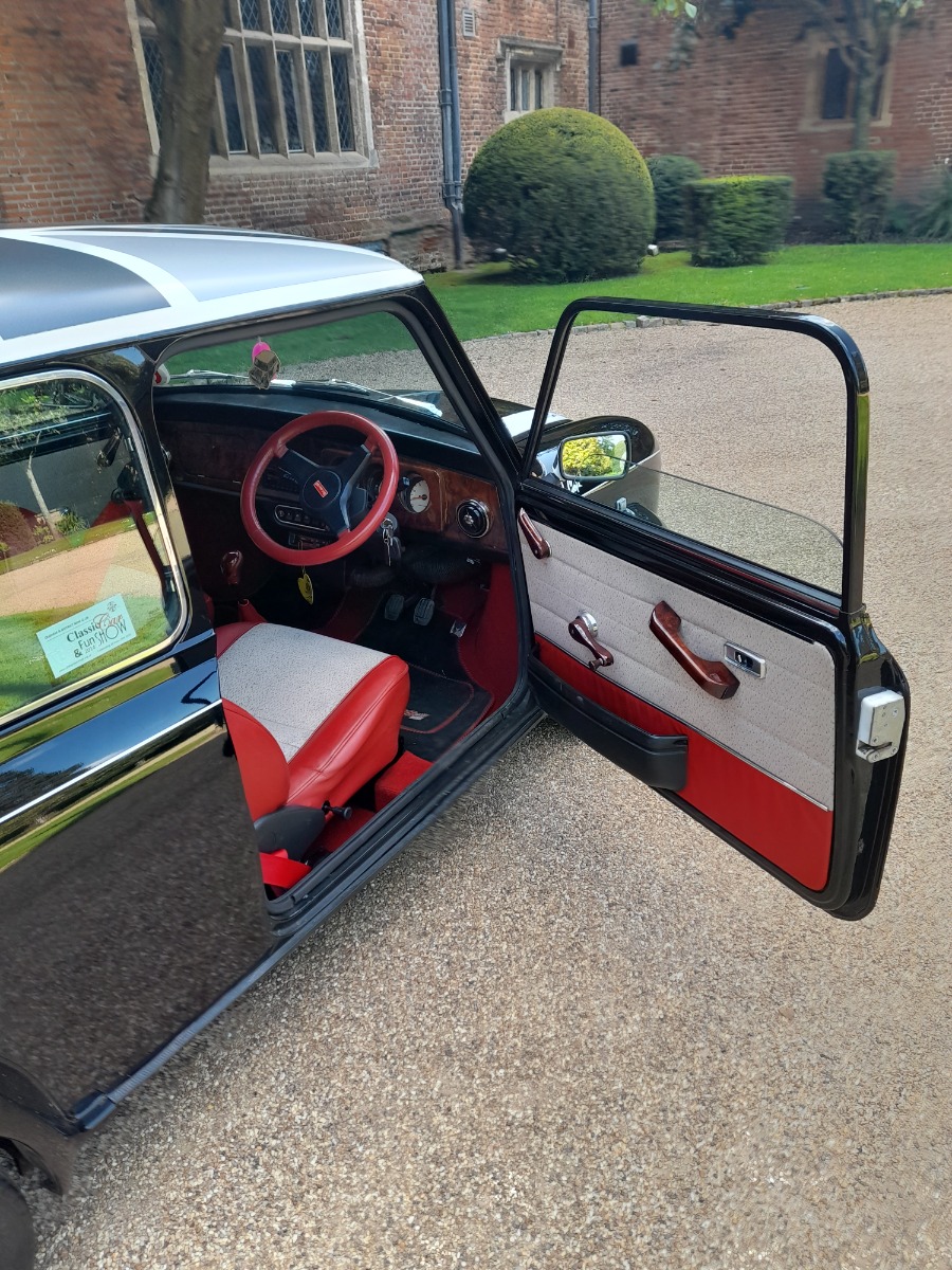 1994 Mini Monte Carlo Image 9