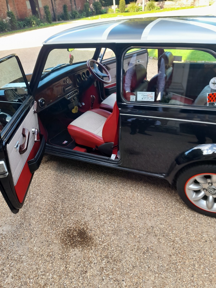 1994 Mini Monte Carlo Image 8