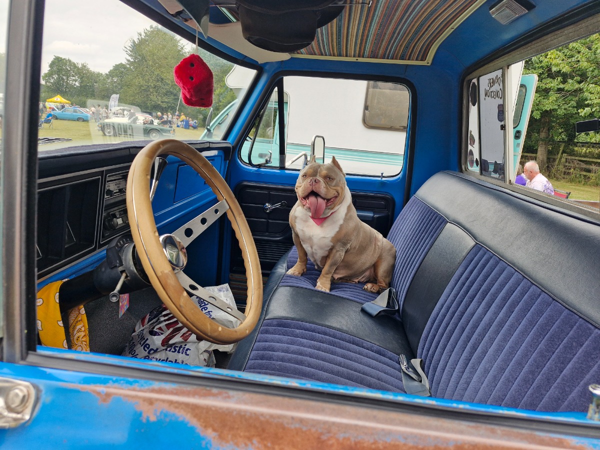 1973 Ford F100 Image 3