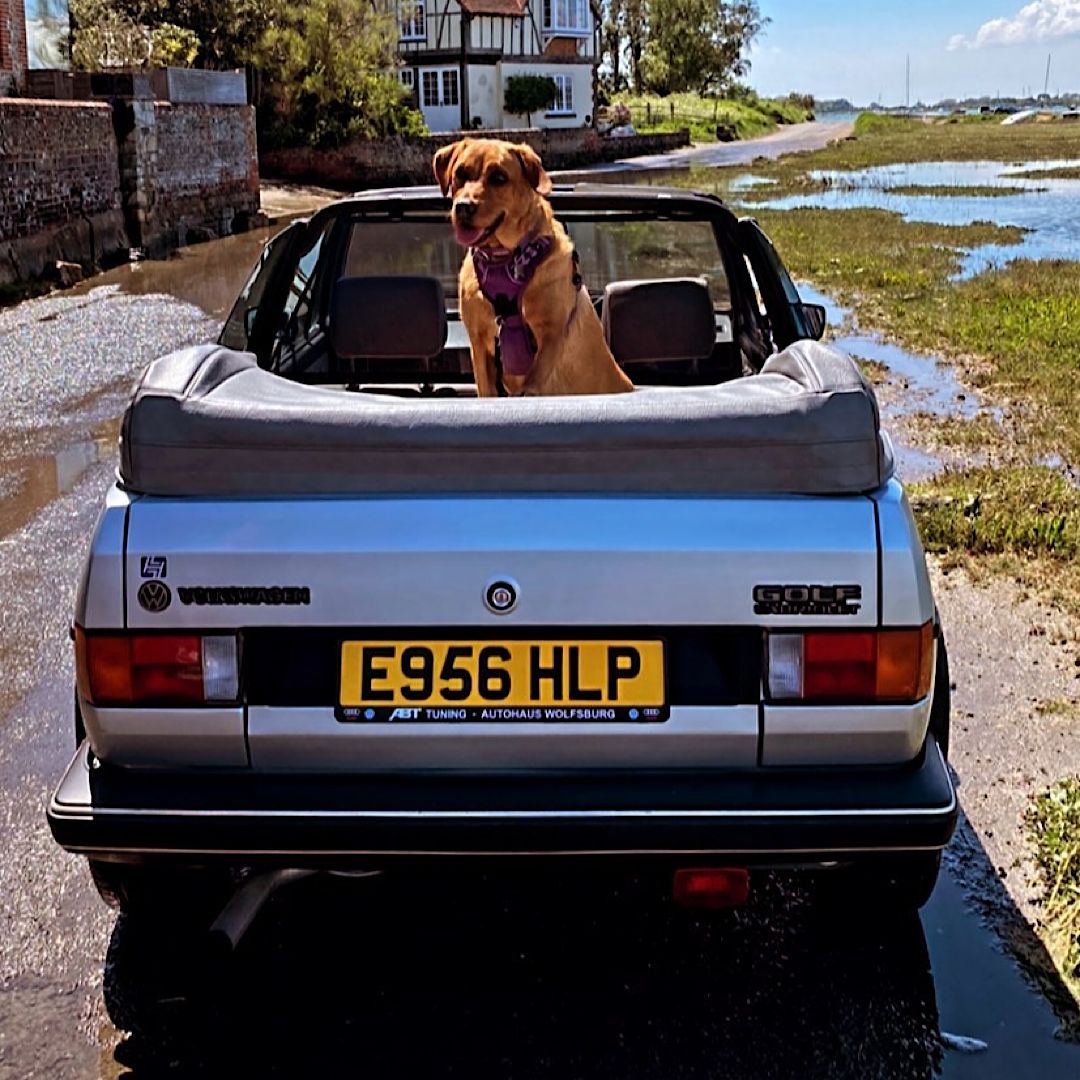 1998 Volkswagen Golf Image 3