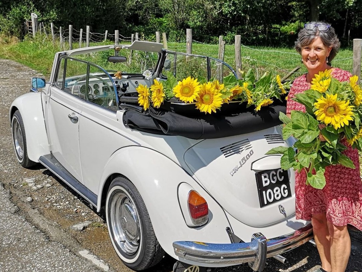 1969 Volkswagen Beetle Image 2