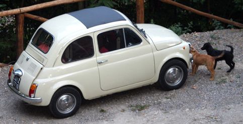 1969 Fiat 500 Image 4
