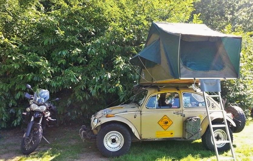 1965 Volkswagen Beetle Image 5