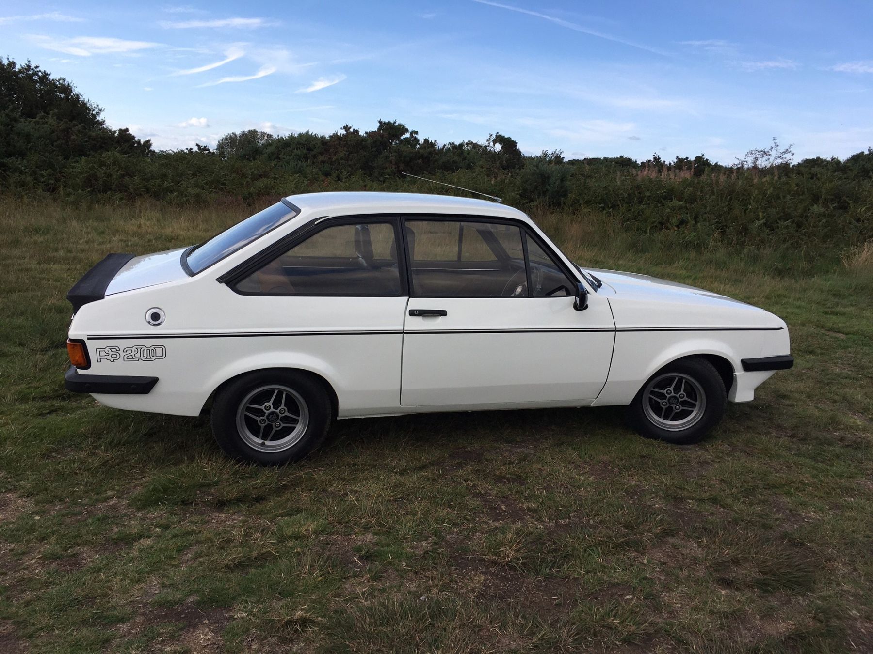 1980 Ford Escort Image 5