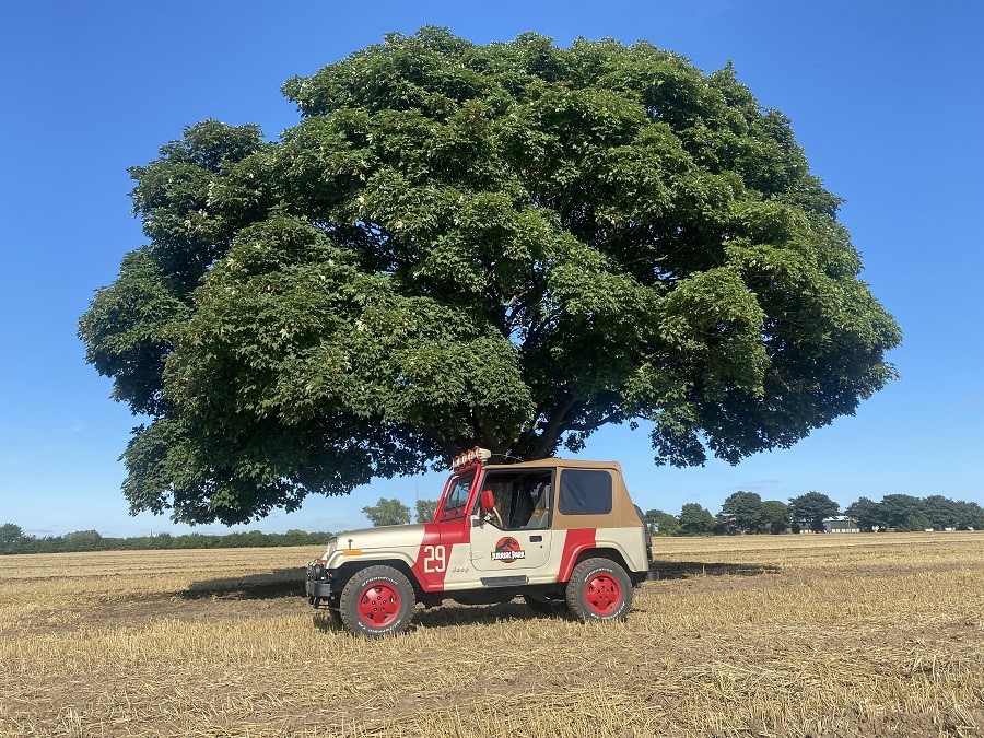 1992 Jeep Wrangler Image 5