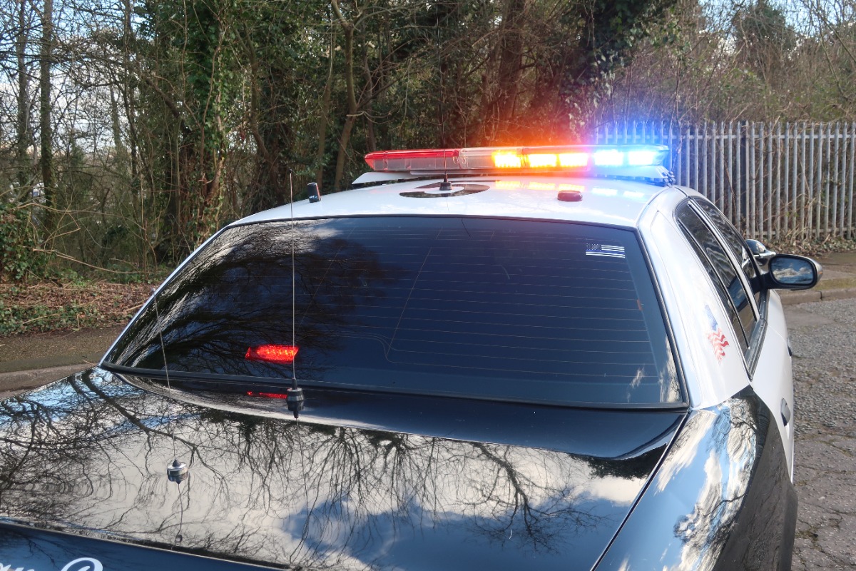 2006 Ford Crown Victoria Image 5