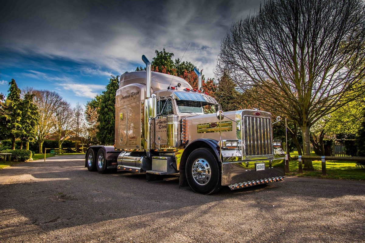 2001 Peterbilt 379 Image 5