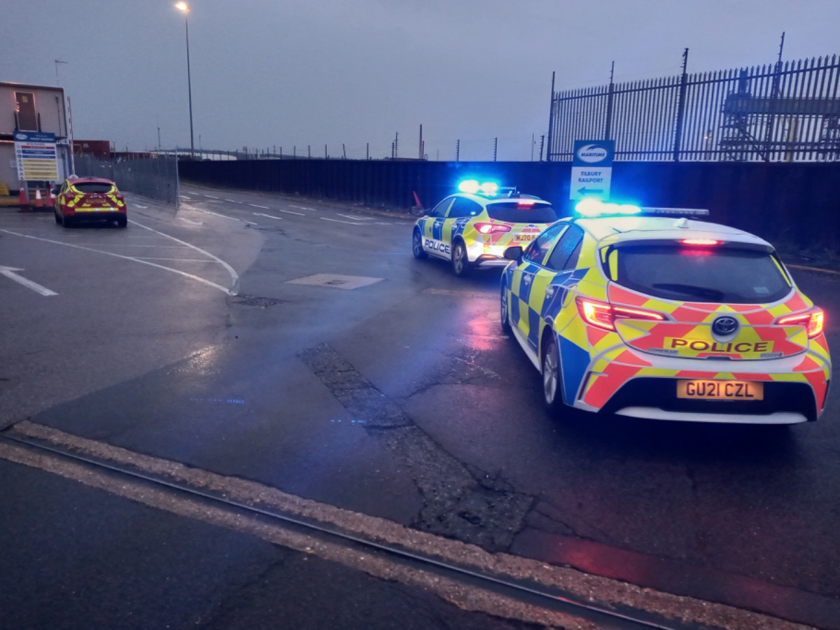 2021 Toyota Corolla Image 2